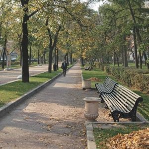 Тверской и Никитский бульвары