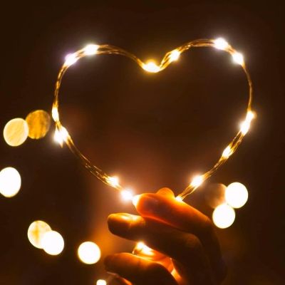 �������������� ���������