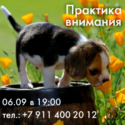Практика внимания