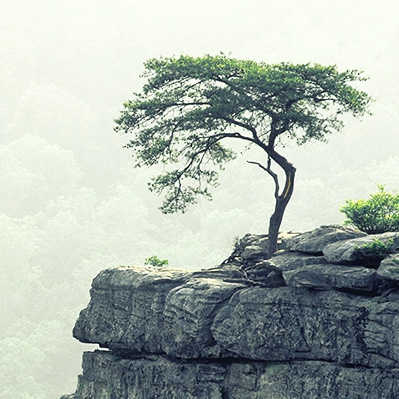 Законы жизни