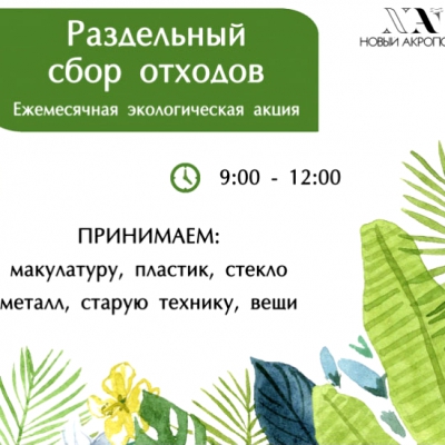 Добровольческая экологическая акция (РСО)