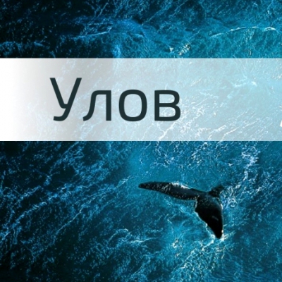Улов
