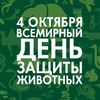 «Птицы, рыбы, звери в души людям смотрят...»