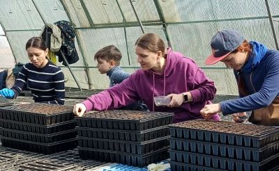 ������� ����� �������