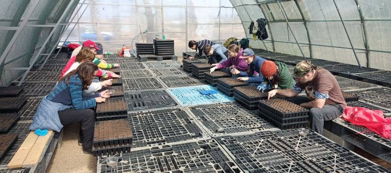 ������� ����� �������