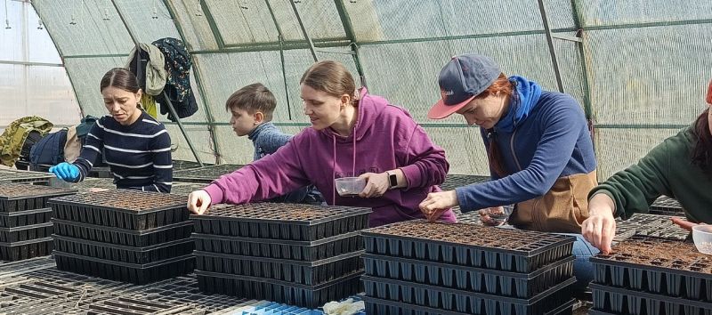 ������� ����� �������