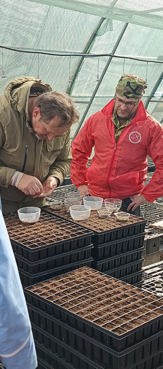 ������� ����� �������