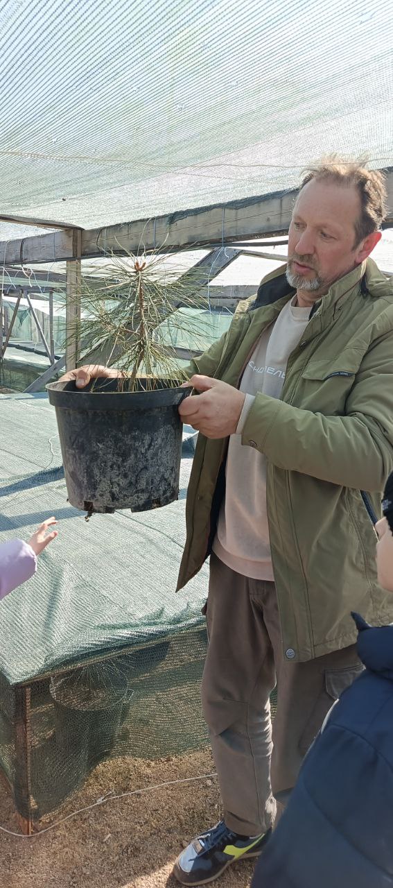 ������� ����� �������