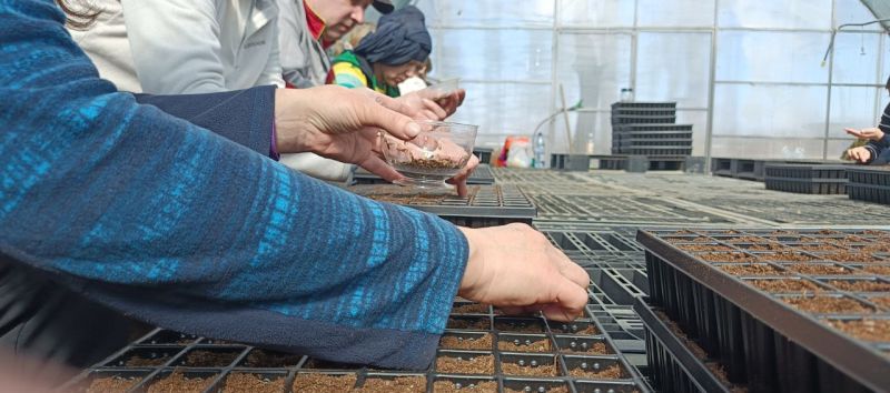 ������� ����� �������