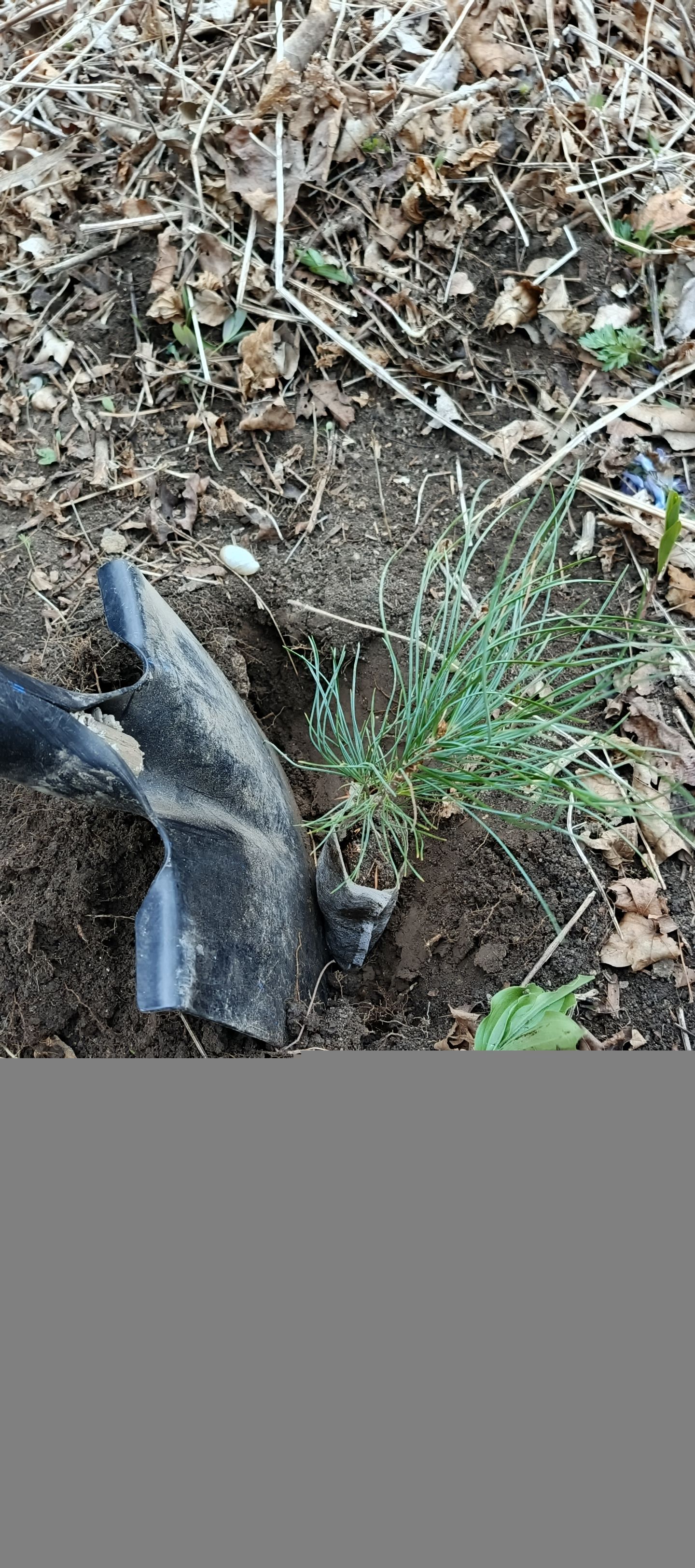 ������� ����� � ������������ �� ������� �����