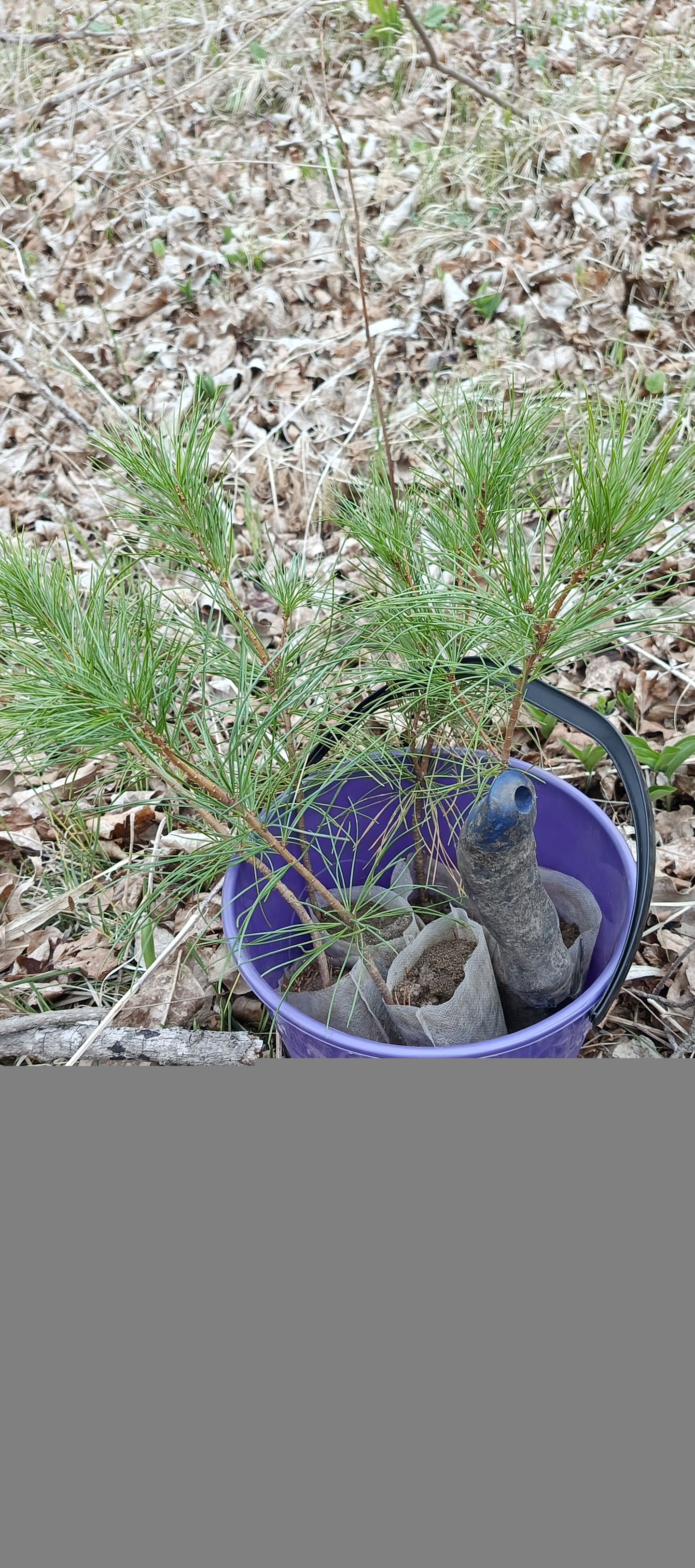 ������� ����� � ������������ �� ������� �����