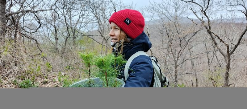 ������� ����� � ������������ �� ������� �����