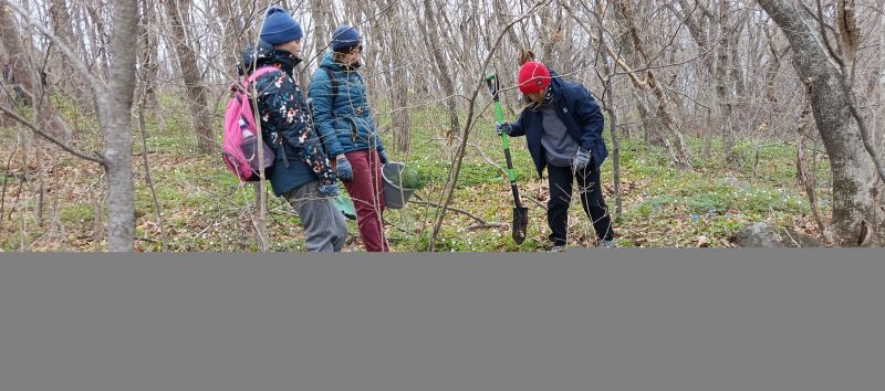 ������� ����� � ������������ �� ������� �����