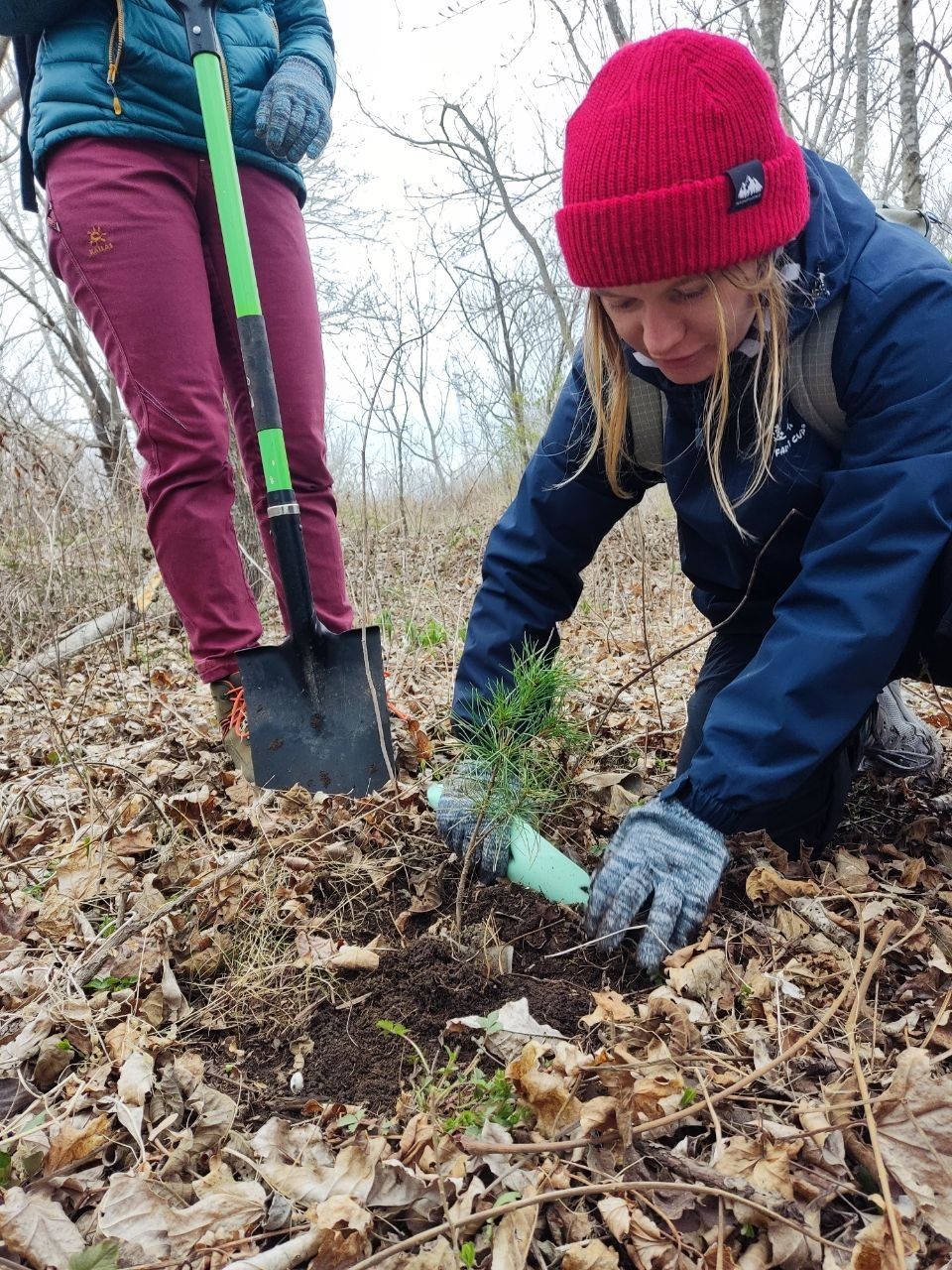 ������� ����� � ������������ �� ������� �����