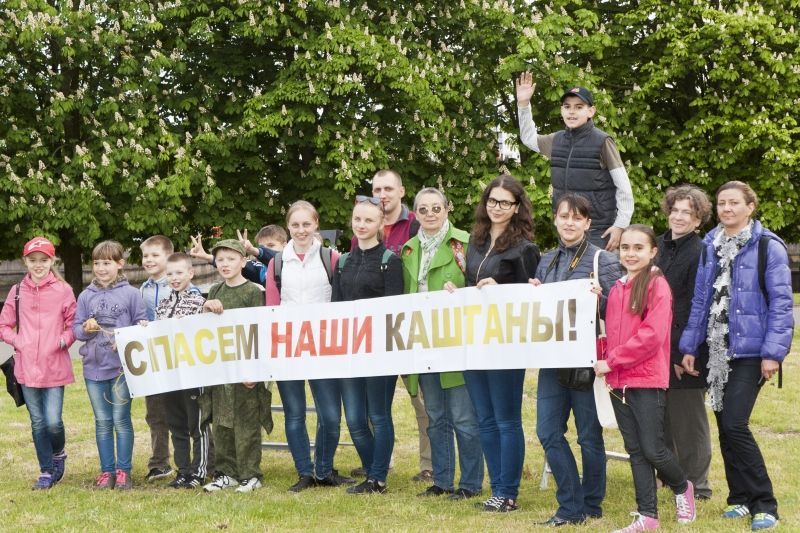 Калининградские акропольцы приняли участие в первой в этом году акции по спасению городских каштанов