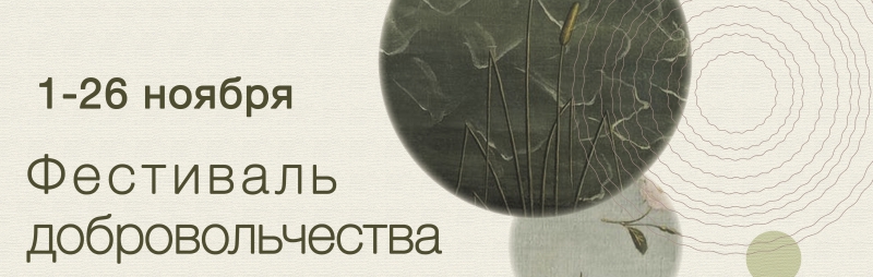 Фестиваль добровольчества